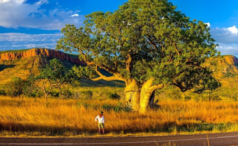 El Questro   The Station