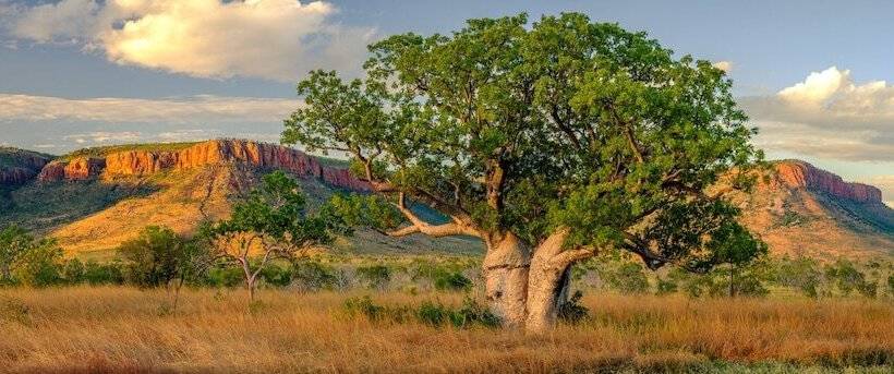 El Questro   The Station