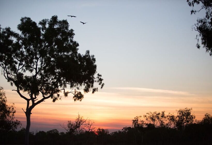 Отель Aaok Lakes Resort And Caravan Park