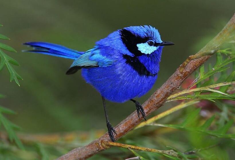 ホテル Blue Lake Lodge