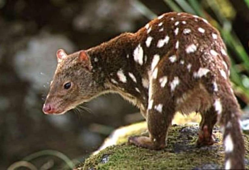 ホテル Blue Lake Lodge