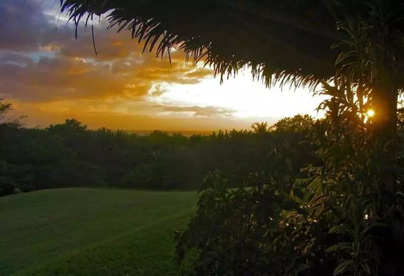 Hotelli Guacamaya Lodge