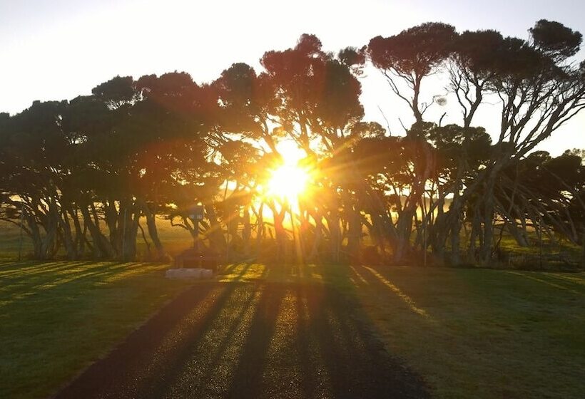 호텔 Big4 Low Head Tourist Park