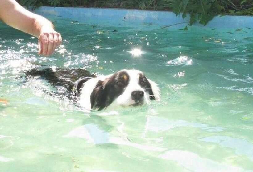 田舎風ホテル Agriturismo Gravanella