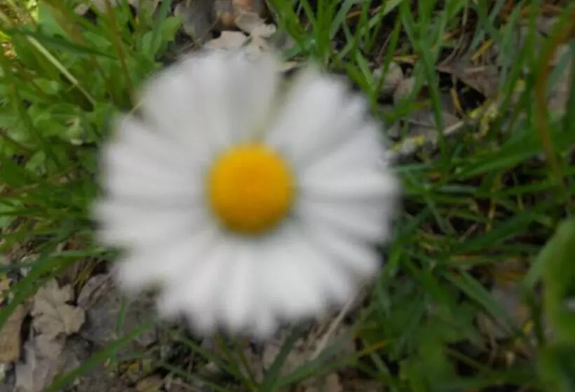 Maaseutuhotelli Agriturismo Monti Sibillini Camperato
