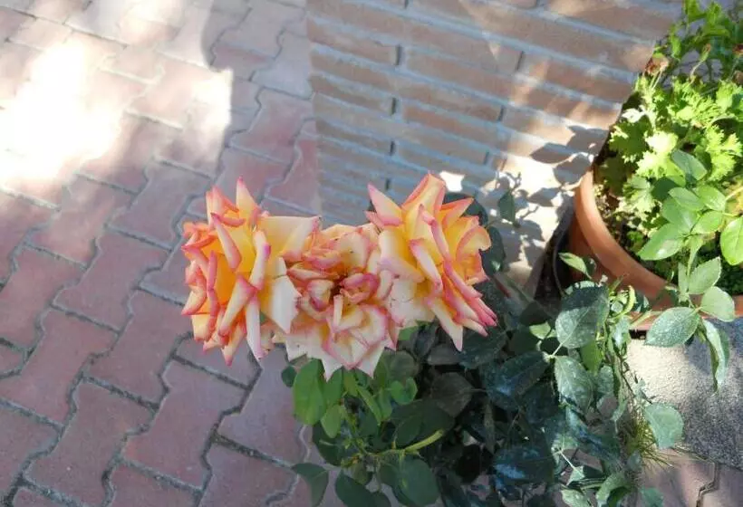 Maaseutuhotelli Agriturismo Monti Sibillini Camperato