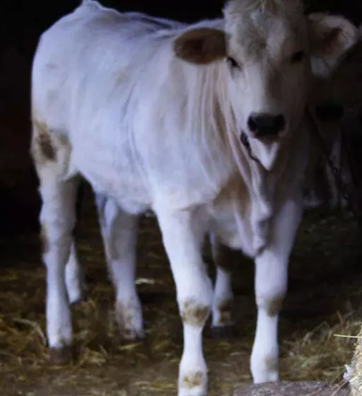 Maaseutuhotelli Agriturismo Monti Sibillini Camperato