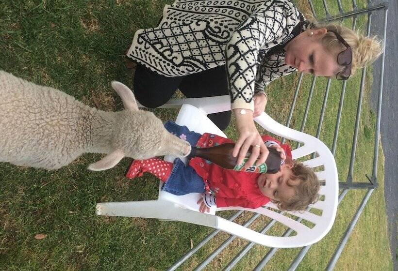 Мотель Jugiong Motor Inn