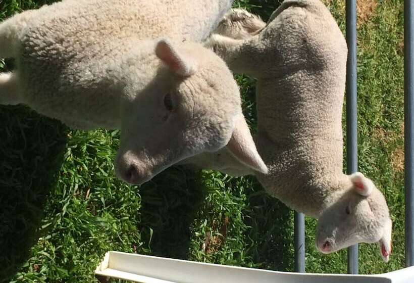 Мотель Jugiong Motor Inn