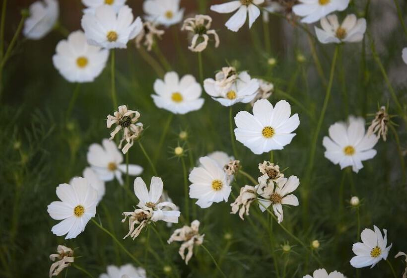 ペンション The Nest At Gundaroo