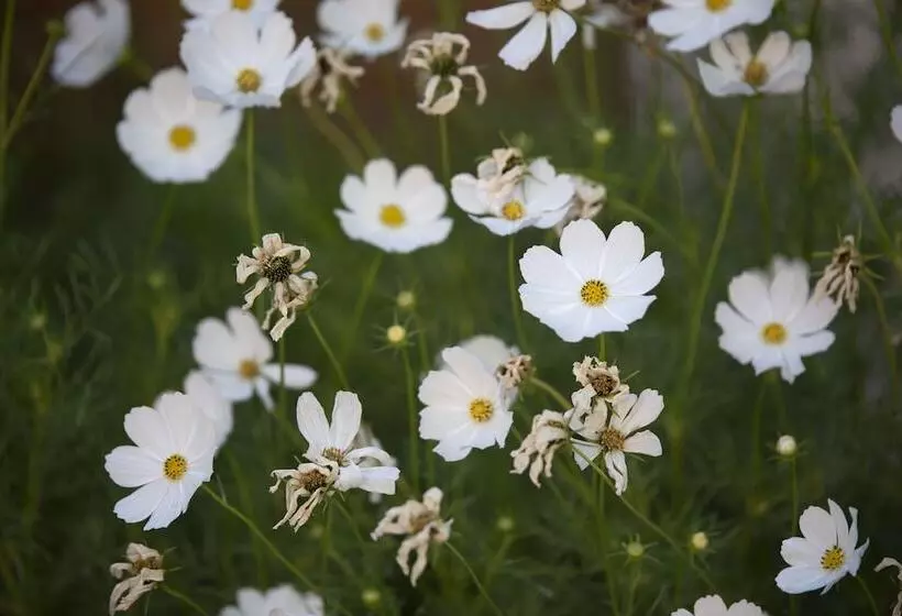 Majatalo The Nest At Gundaroo
