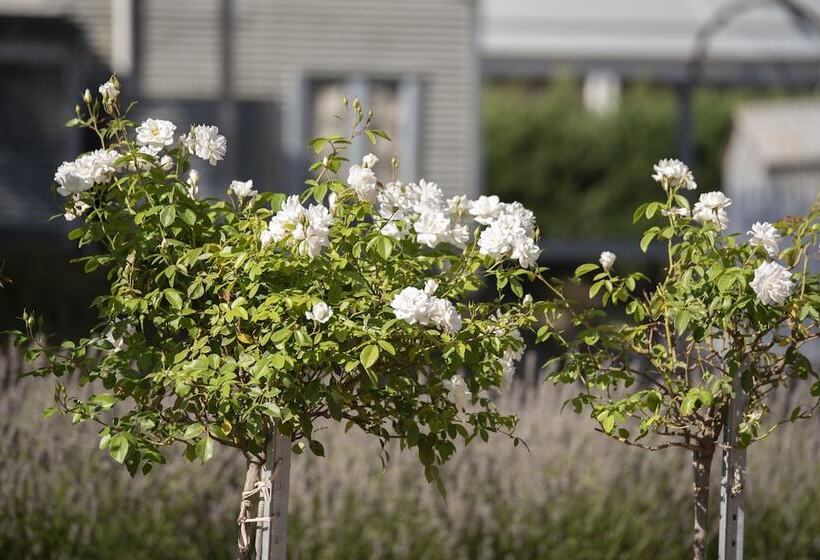 ペンション The Nest At Gundaroo