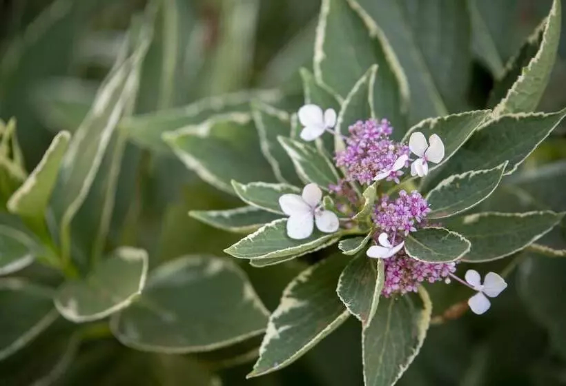 Majatalo The Nest At Gundaroo