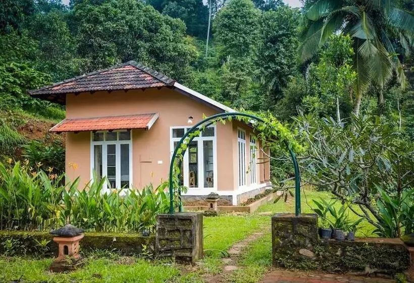 Lomakeskus After The Rains   Rainforest Lodge
