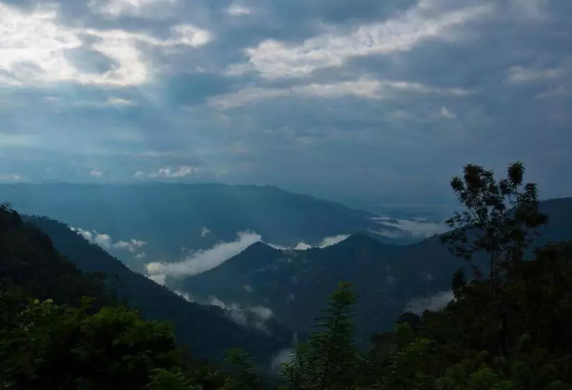 Lomakeskus After The Rains   Rainforest Lodge