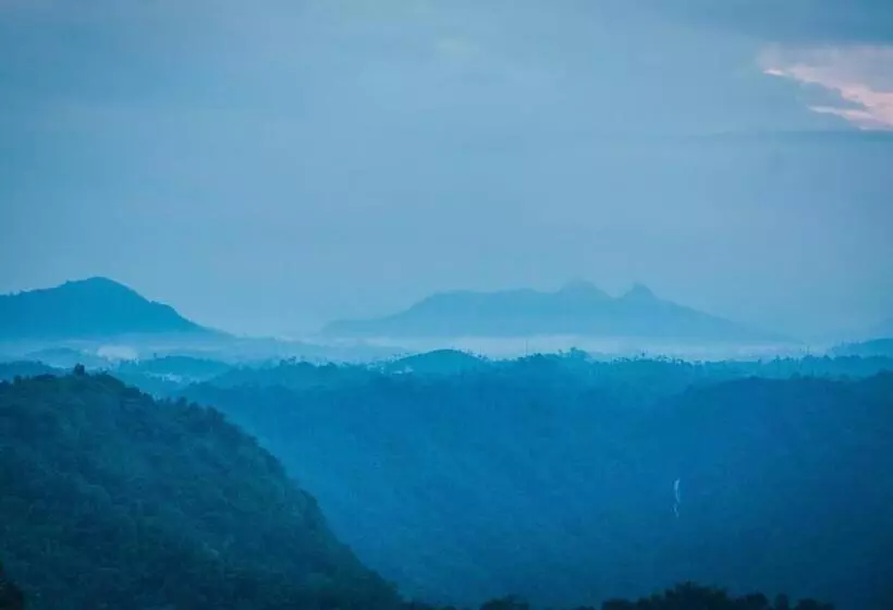 Lomakeskus After The Rains   Rainforest Lodge