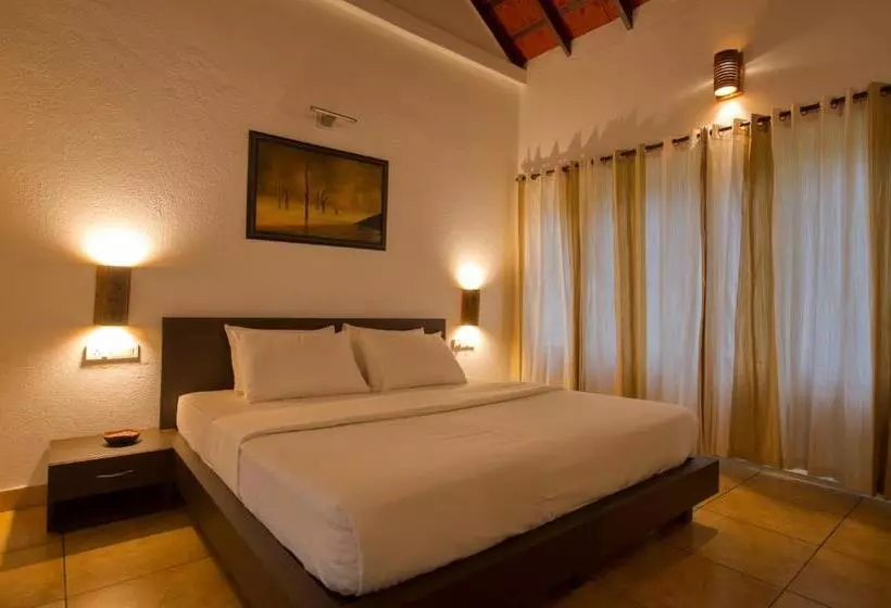 Lomakeskus After The Rains   Rainforest Lodge