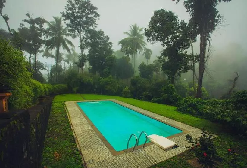 Lomakeskus After The Rains   Rainforest Lodge