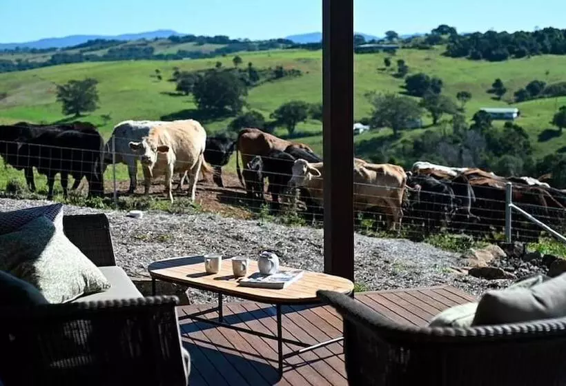 Your Luxury Escape   Carinya Cottages 4