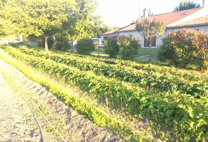 민박 Chambres D Hotes Gite Du Puy De L étang