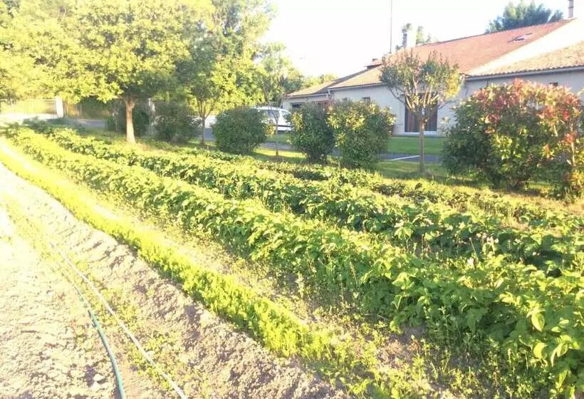 Aamiaismajoitus (B&B) Chambres D Hotes Gite Du Puy De L étang