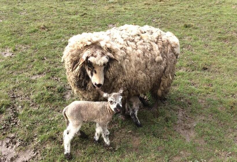 민박 Chambres D Hotes Gite Du Puy De L étang