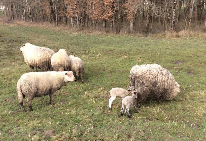 민박 Chambres D Hotes Gite Du Puy De L étang