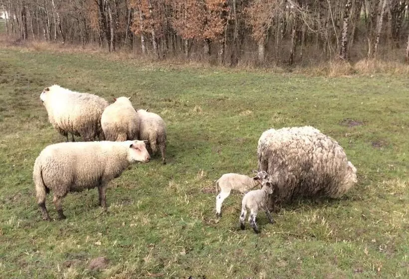 Aamiaismajoitus (B&B) Chambres D Hotes Gite Du Puy De L étang