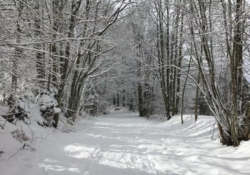 Hotelli Auberge Du Chateau De Joux