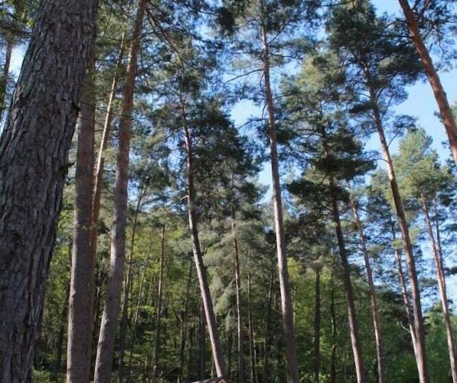 Отель Camping Osenbach