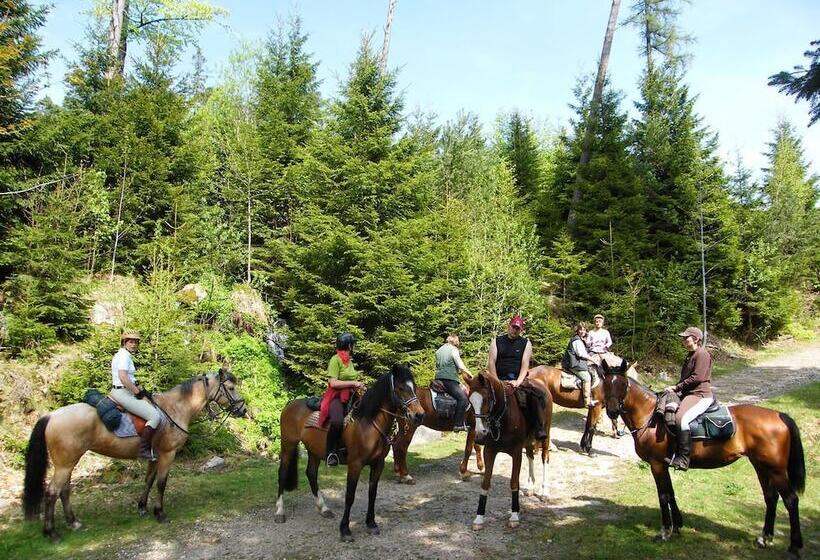 Отель Camping Osenbach