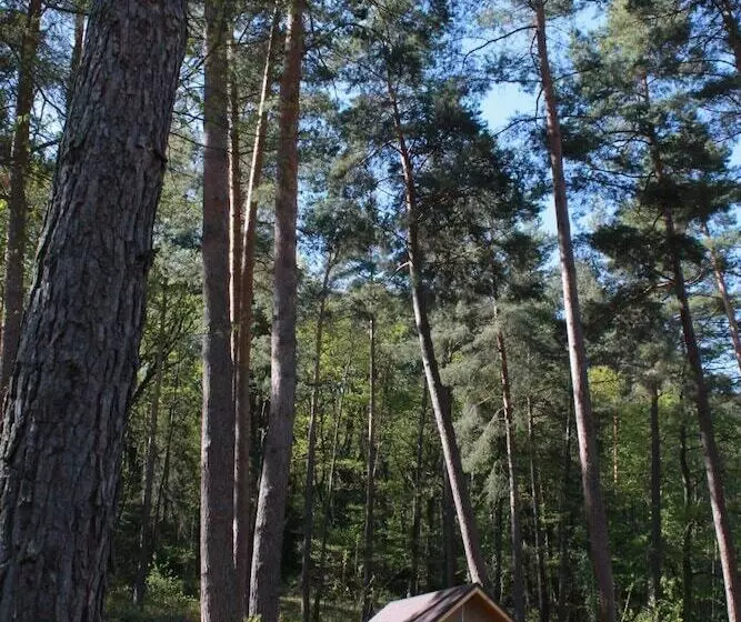 Hotelli Camping Osenbach