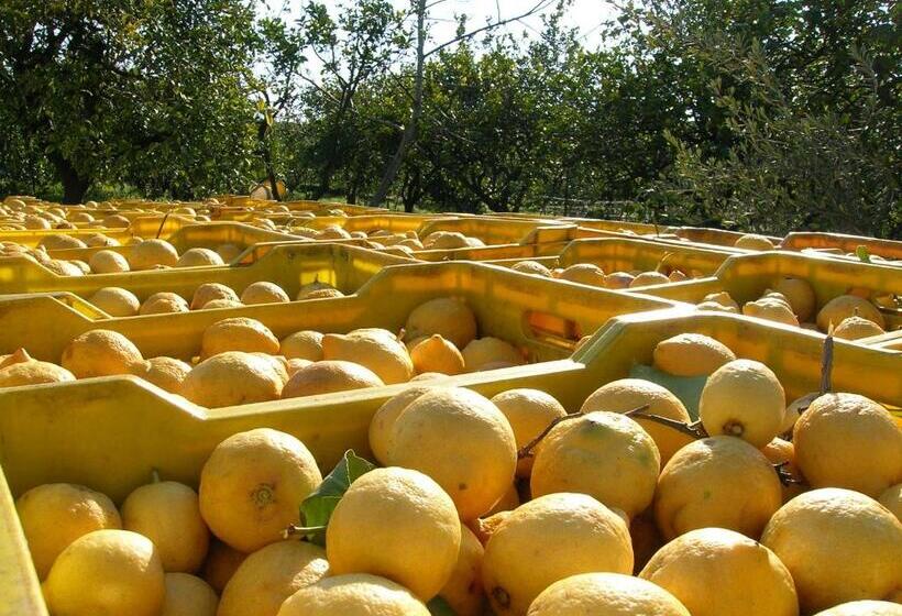 בית מלון כפרי Agriturismo San Leonardello