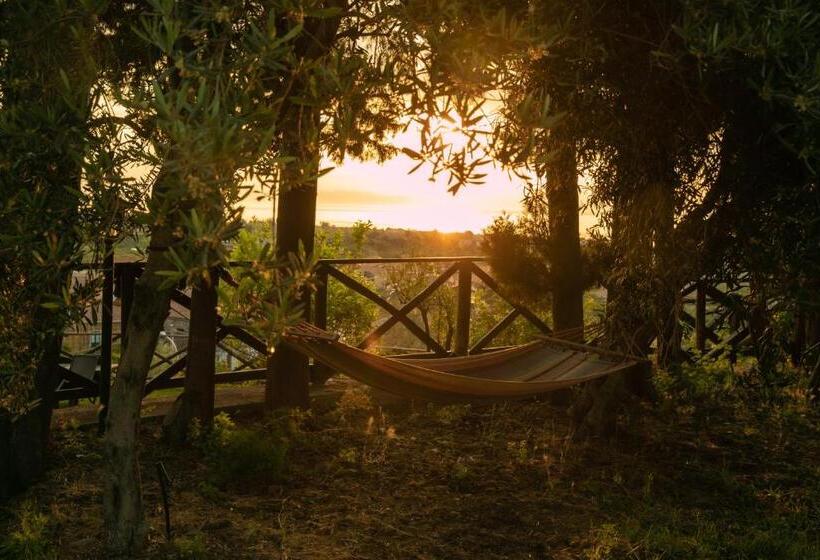 בית מלון כפרי Agriturismo San Leonardello