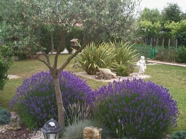 Majatalo Chevrefeuille Et Eglantine