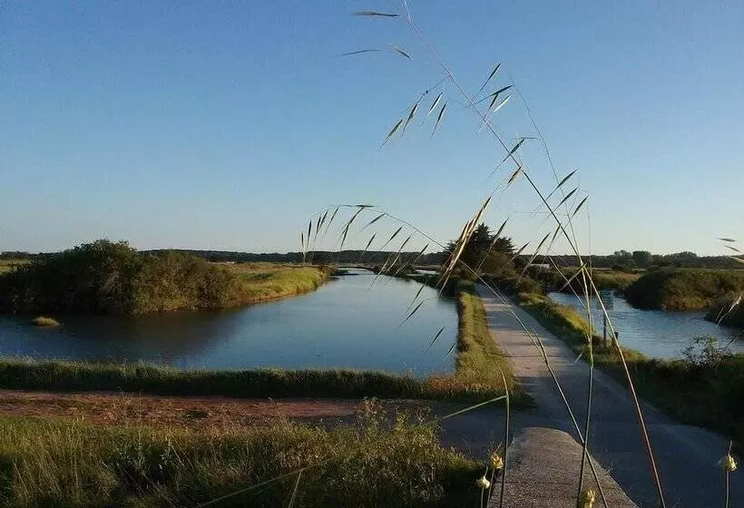 Majatalo Chevrefeuille Et Eglantine