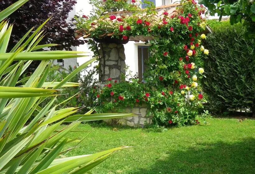 Majatalo Chevrefeuille Et Eglantine