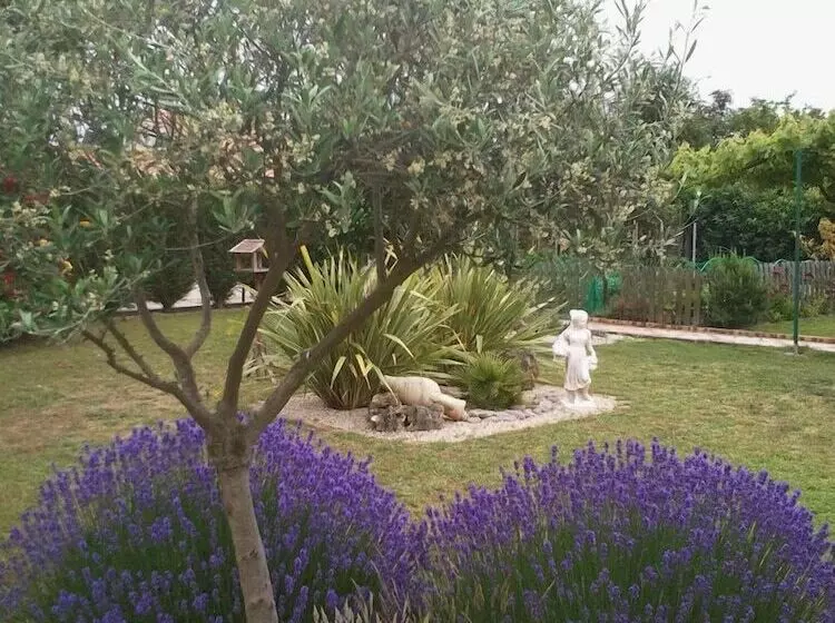 Majatalo Chevrefeuille Et Eglantine