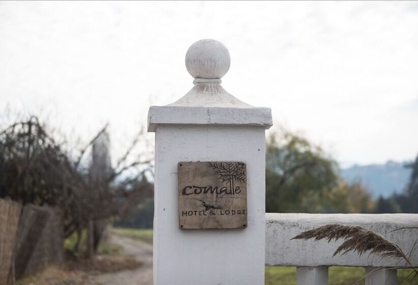 Курорт Comalle Party