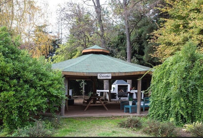 Курорт Comalle Party