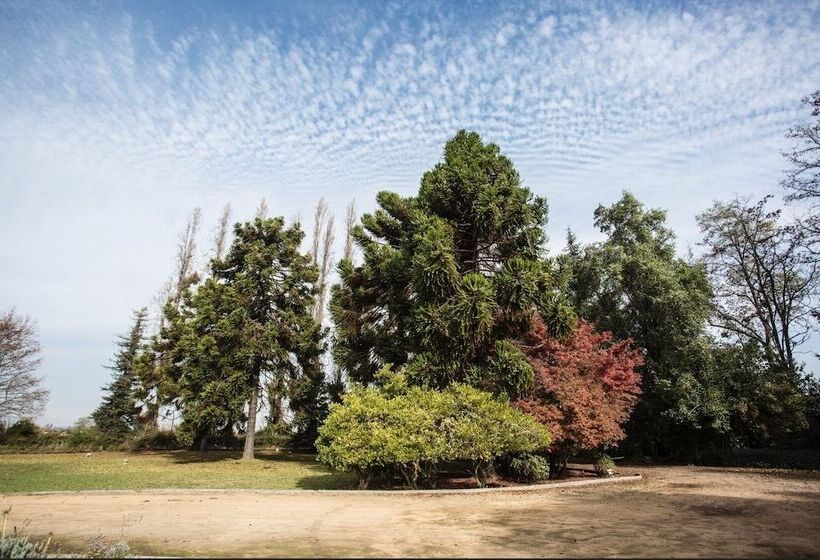 Курорт Comalle Party