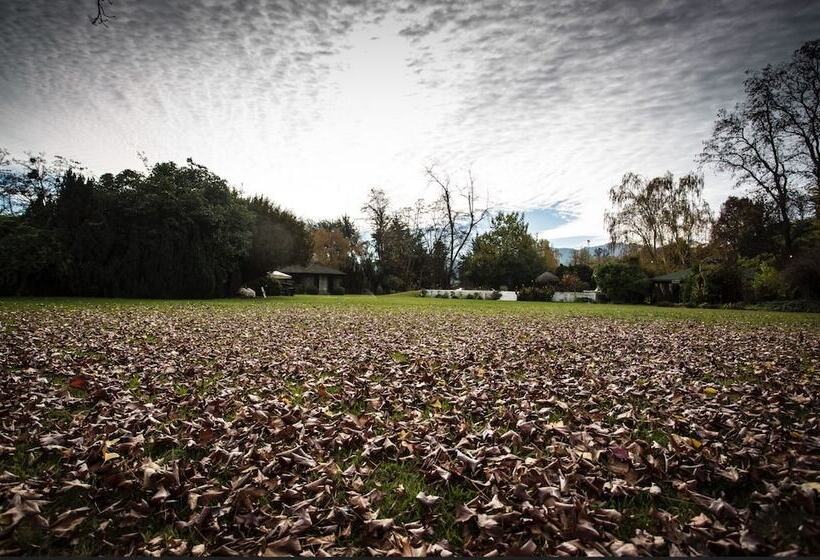 Курорт Comalle Party