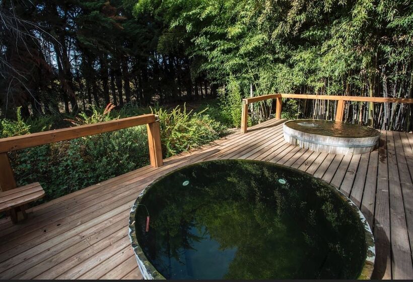 Курорт Comalle Party