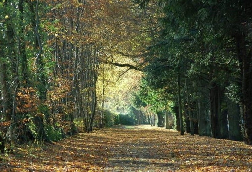 Lovely Cottage In Garden Grounds Near Centre