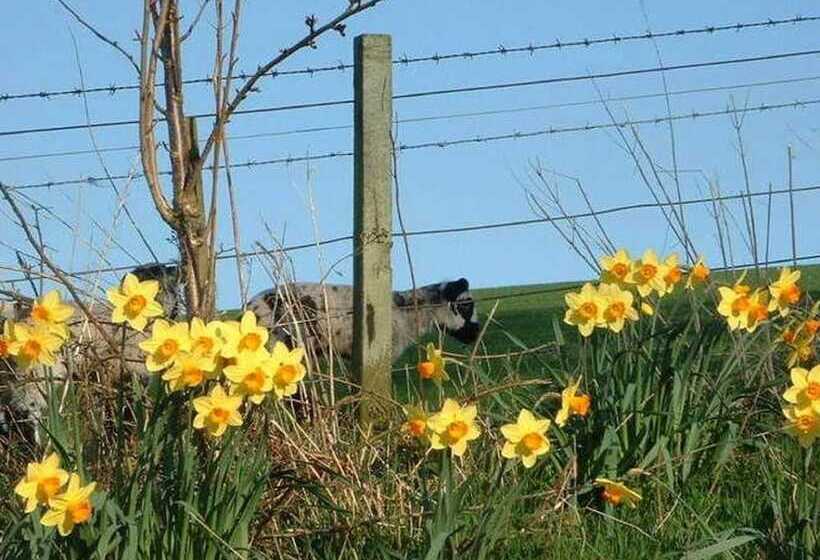 Lovely Cottage In Garden Grounds Near Centre
