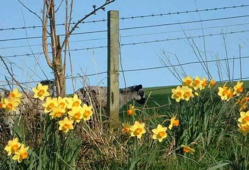 Lovely Cottage In Garden Grounds Near Centre
