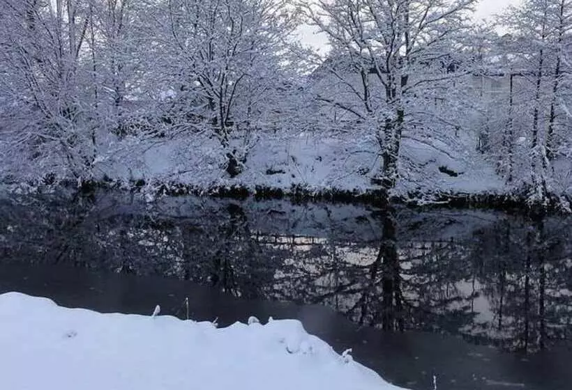 Lovely Cottage In Garden Grounds Near Centre