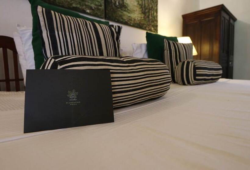 ペンション Plantation Villa