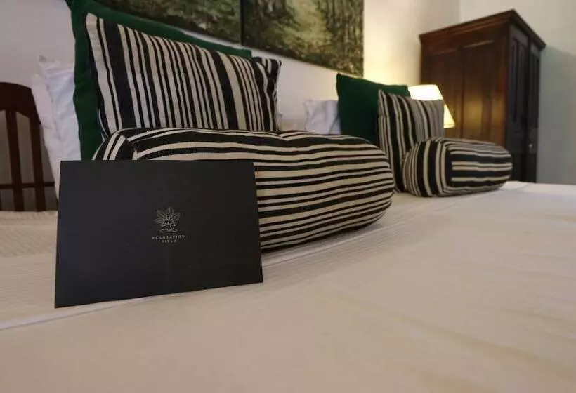 ペンション Plantation Villa