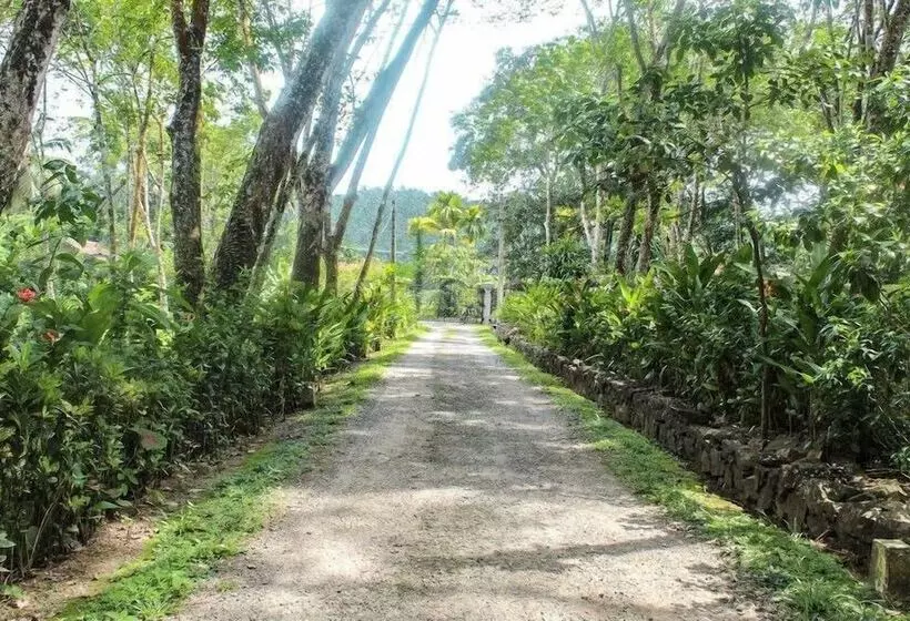 ペンション Plantation Villa